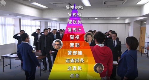 警视厅零系 生活安全科万能咨询室 第五季 数据处理服务